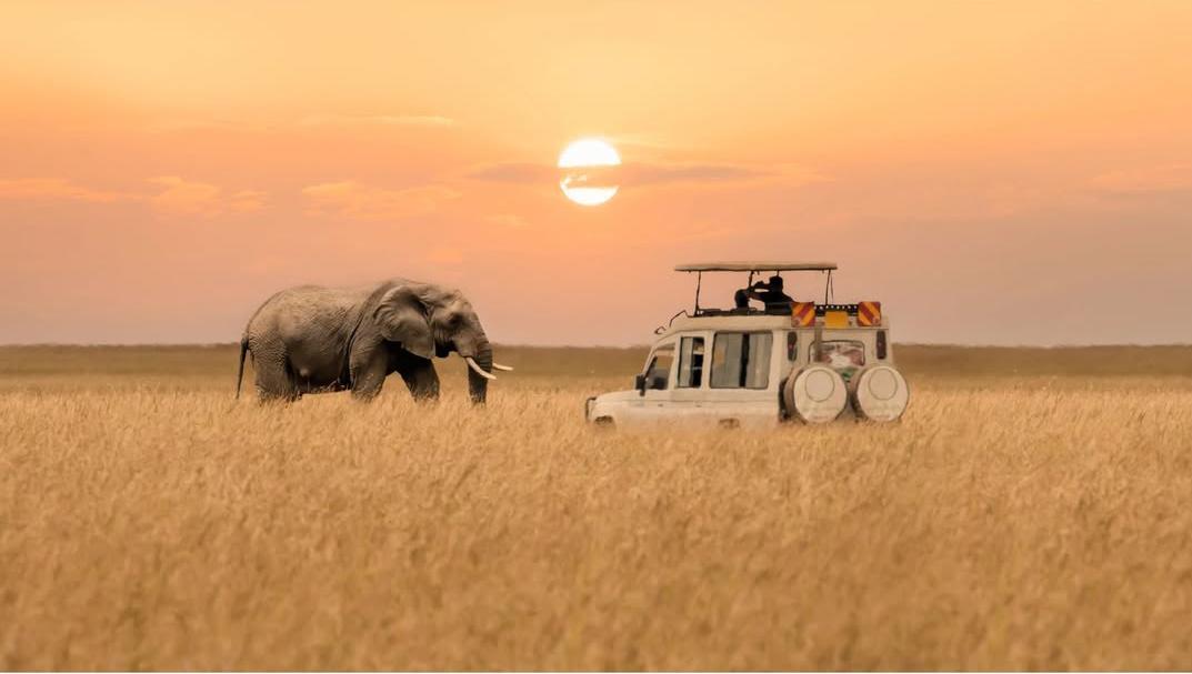 Serengeti