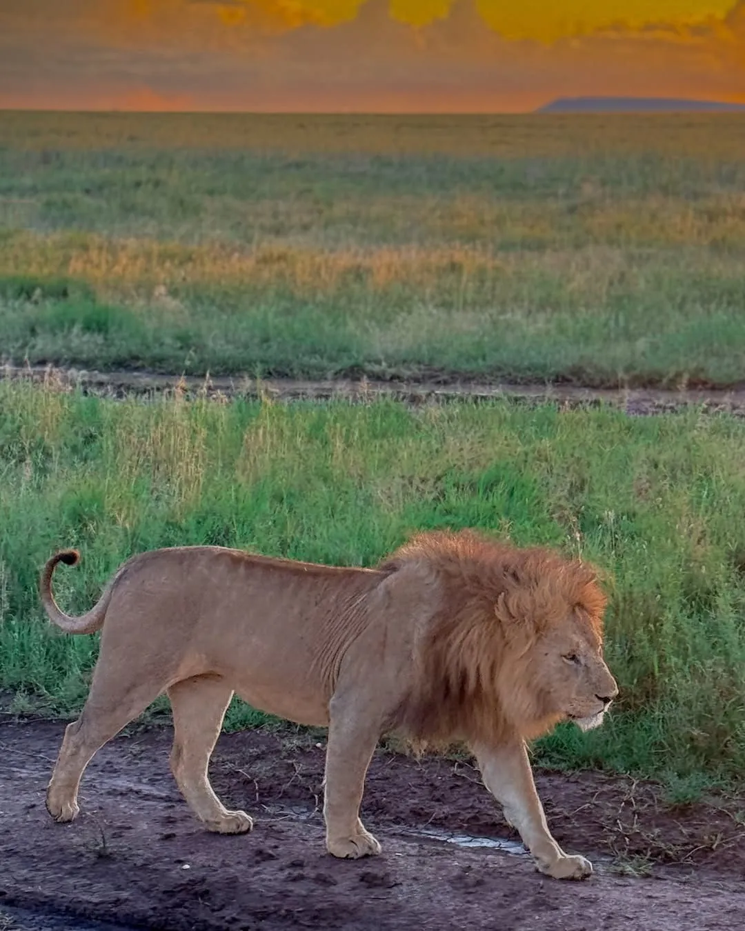 Mount Kenya